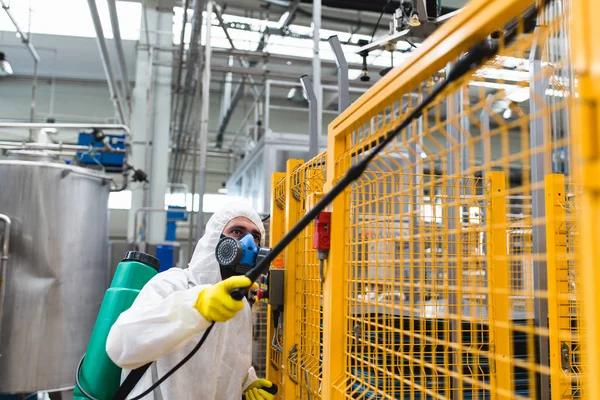 Ladybug Defense LLC Trusted Pest Control Experts in Chicago