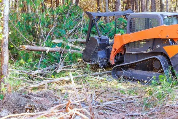 Professional Tree Cutting and Trimming Service for Your Yard