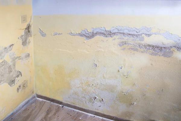 Affordable Portland Water Damage Restoration Services for Homes and Businesses