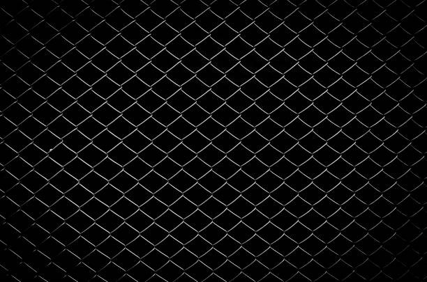 Welche Materialien bei Zaeune langfristig ueberzeugen