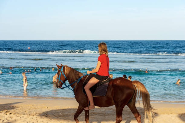 London Asian Companion Listings and Profiles