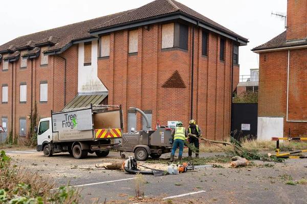 Tree Wise Men Offers Complete Tree Care Solutions