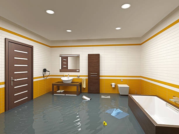 Trusted Water Damage Restoration Chicago for Water Extraction and Structural Drying